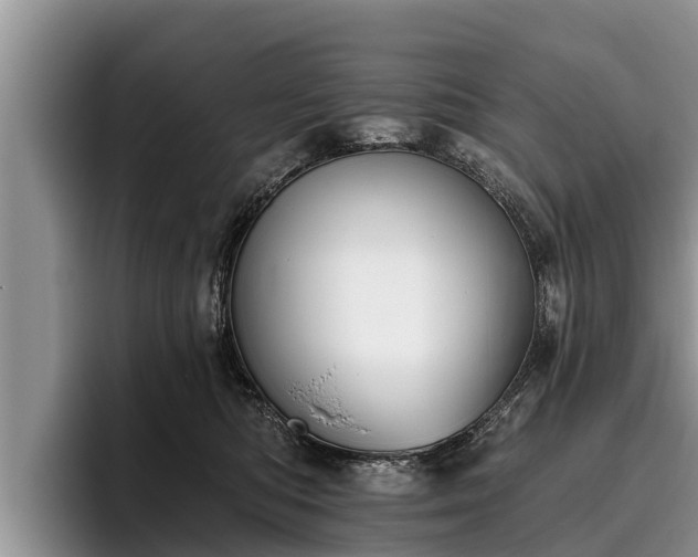 X0000095880422200801181209