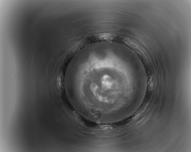 X0000095880424200801181209