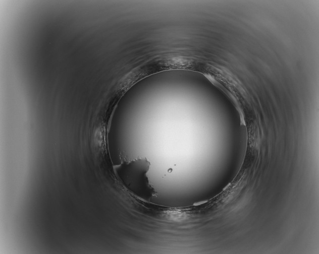 X0000095880425200801181209