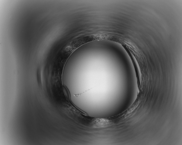X0000095880429200801181209