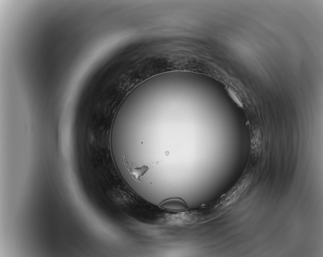 X0000095880430200801181209
