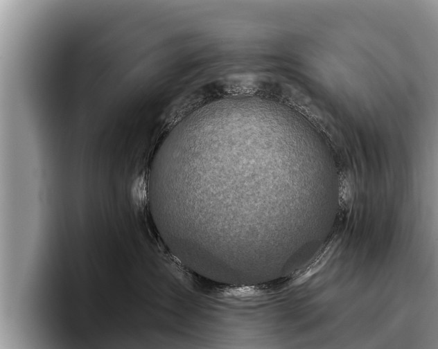 X0000095880431200801181209