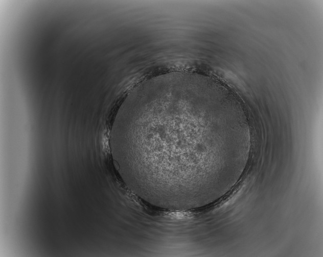X0000095880432200801181209