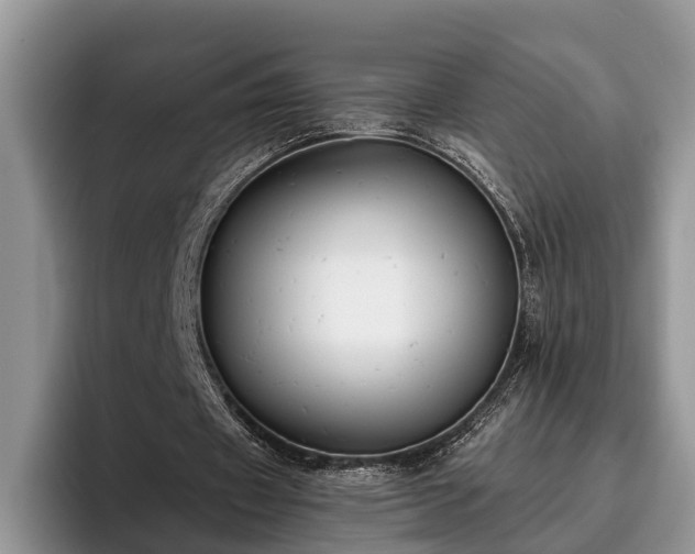 X0000095880433200801181209