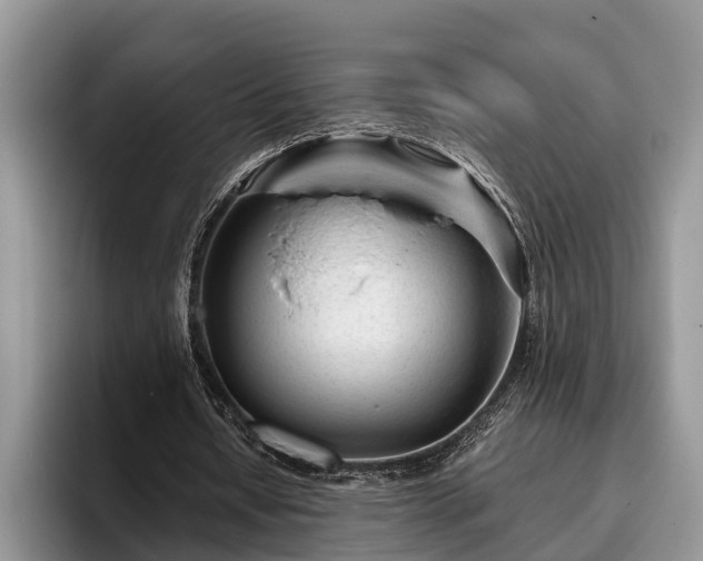 X0000095880434200801181209