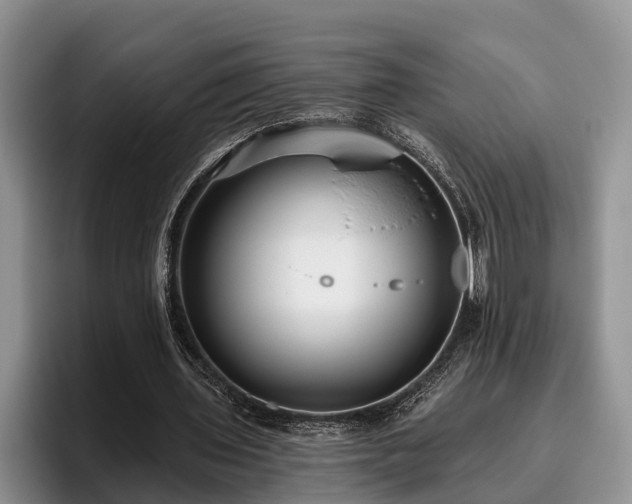 X0000095880435200801181209