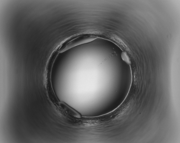 X0000095880436200801181209