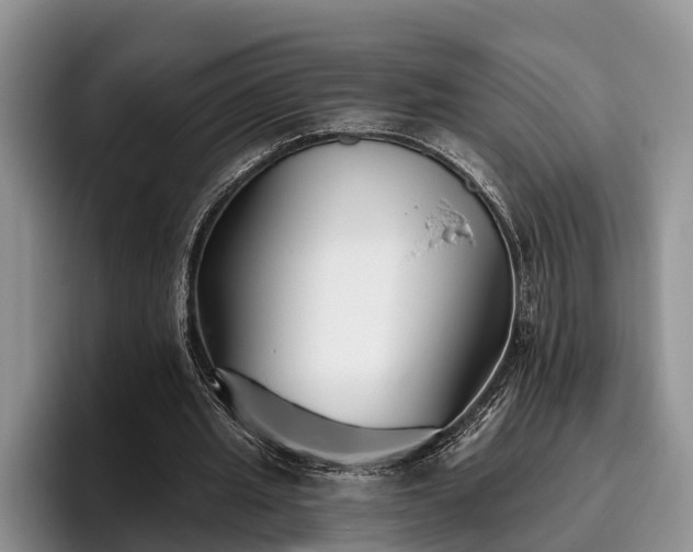 X0000095880437200801181209