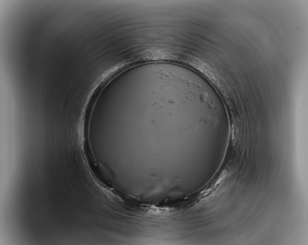 X0000095880438200801181209