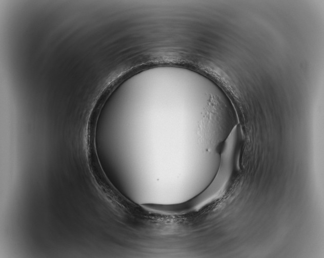 X0000095880439200801181209