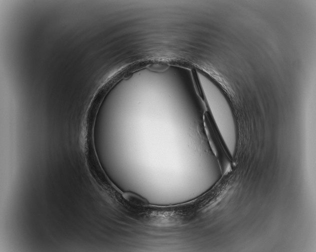 X0000095880440200801181209