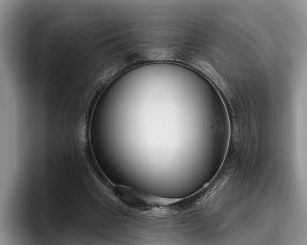 X0000095880441200801181209