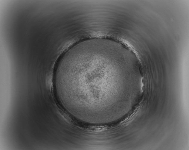 X0000095880443200801181209