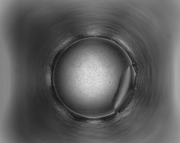 X0000095880446200801181209