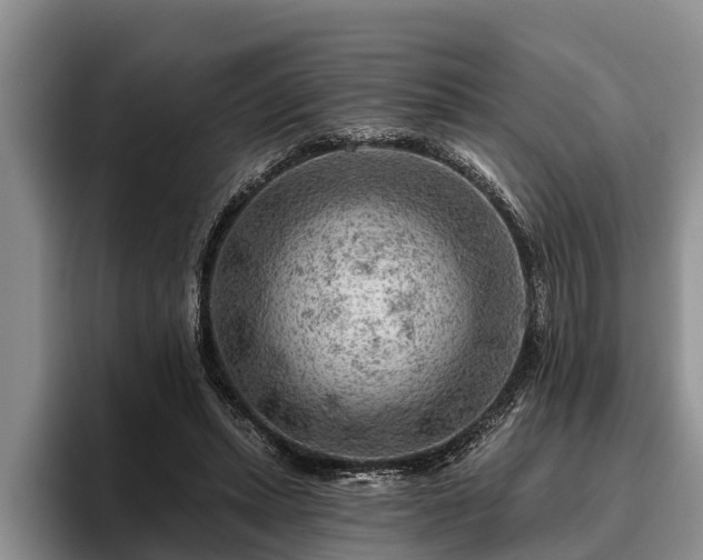 X0000095880447200801181209