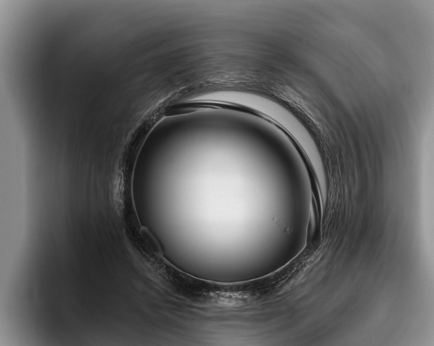 X0000095880448200801181209