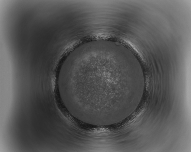 X0000095880451200801181209
