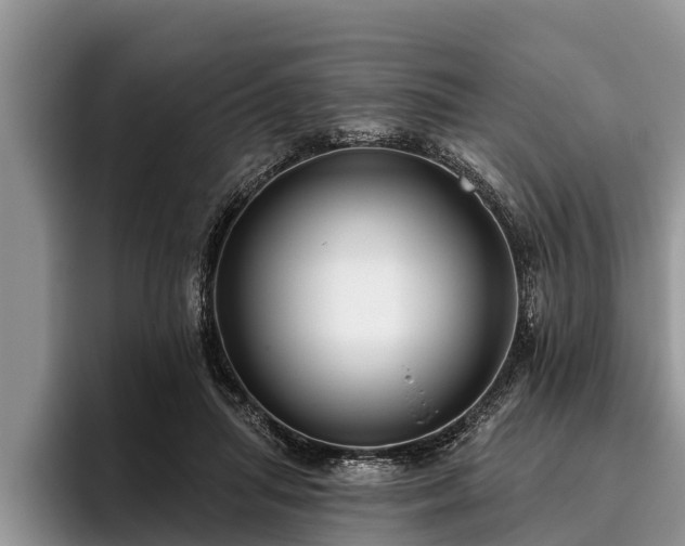 X0000095880455200801181209