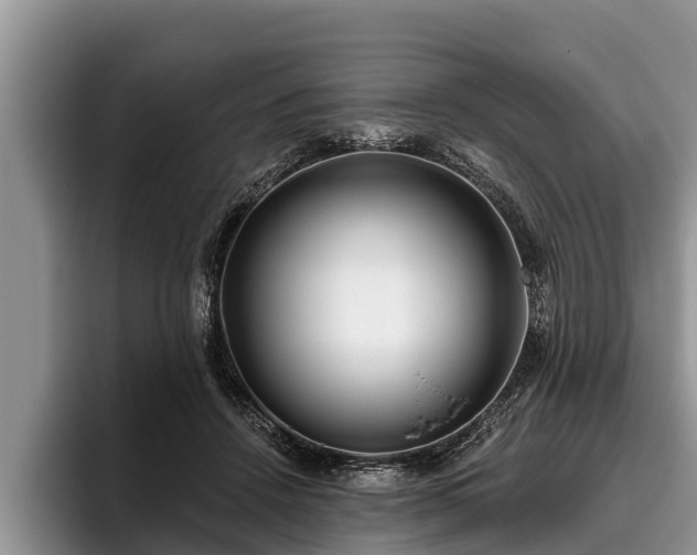 X0000095880456200801181209