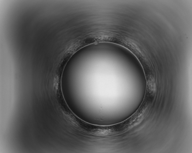 X0000095880458200801181209
