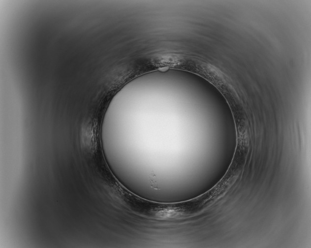 X0000095880460200801181209