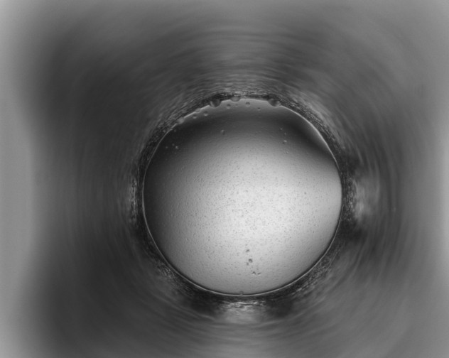 X0000095880461200801181209