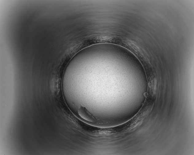 X0000095880462200801181209