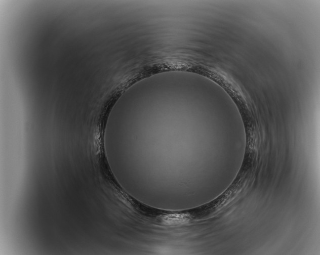 X0000095880465200801181209