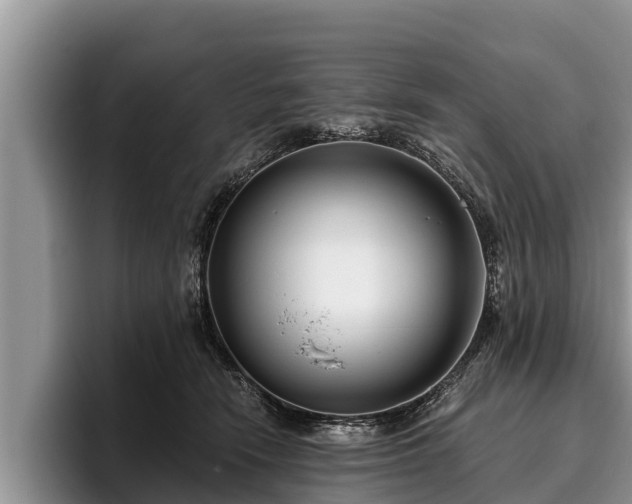 X0000095880466200801181209