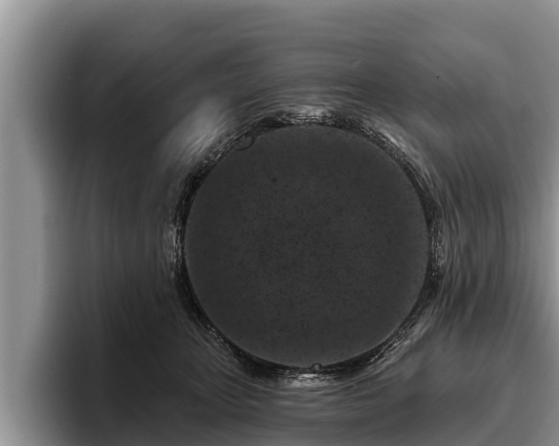 X0000095880467200801181209