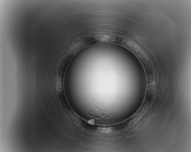 X0000095880469200801181209