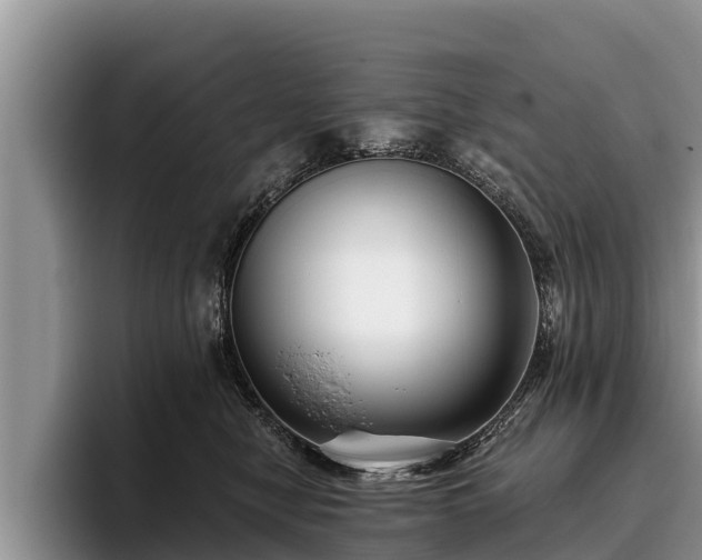 X0000095880470200801181209
