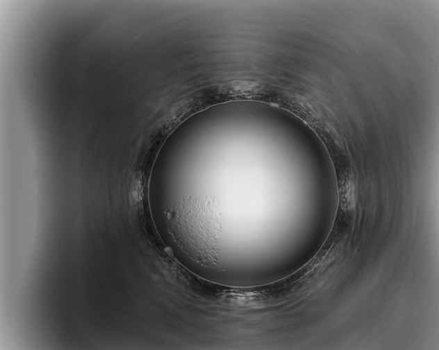 X0000095880472200801181209