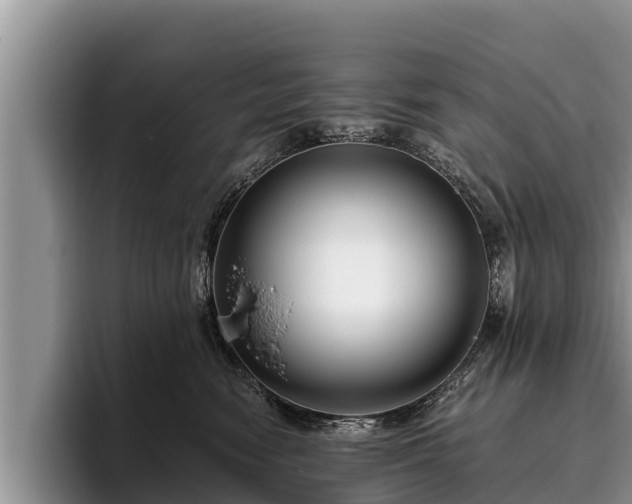 X0000095880474200801181209