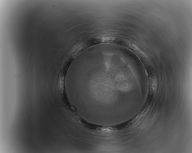 X0000095880475200801181209