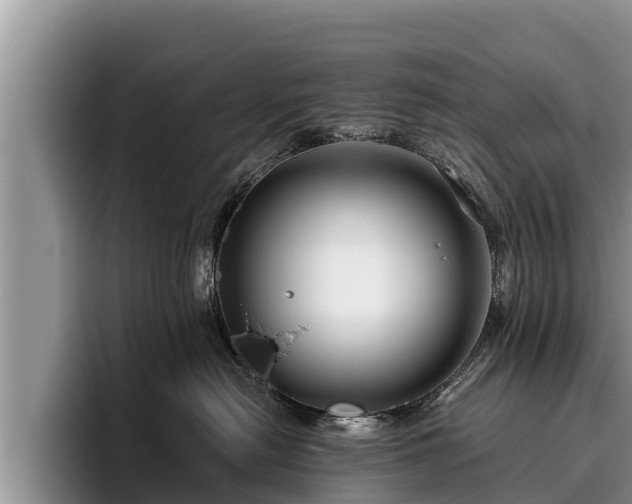X0000095880478200801181209