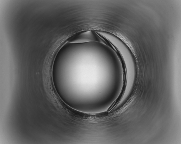 X0000095880481200801181209