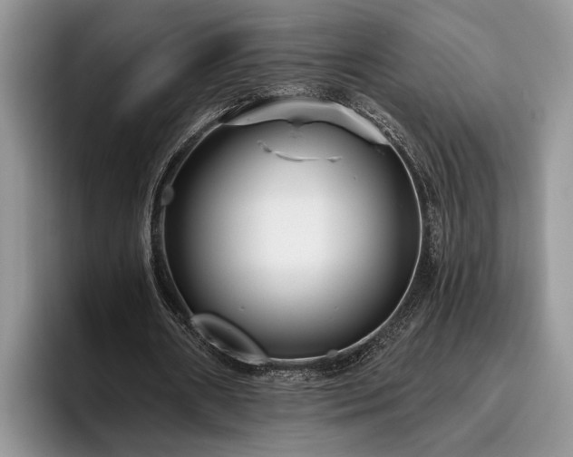 X0000095880482200801181209