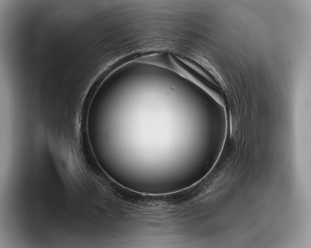 X0000095880483200801181209