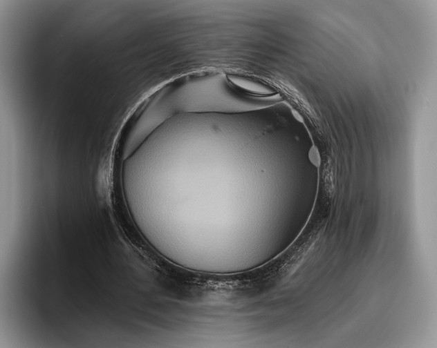 X0000095880484200801181208