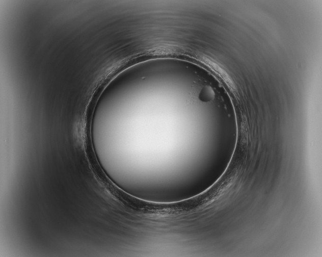X0000095880485200801181208