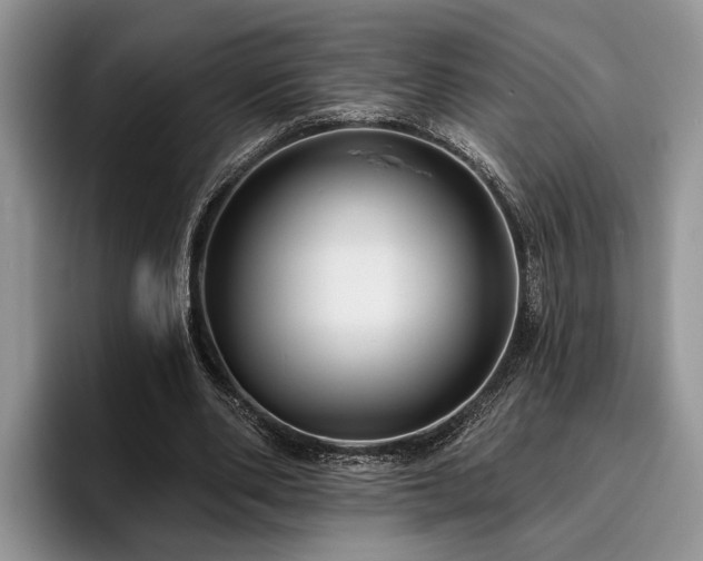 X0000095880486200801181208