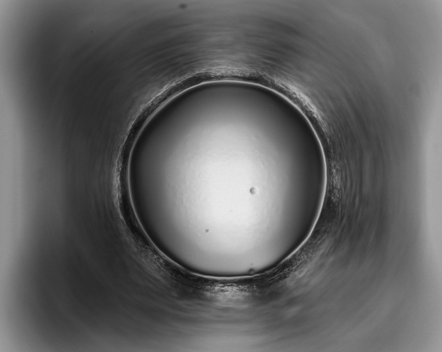 X0000095880487200801181208