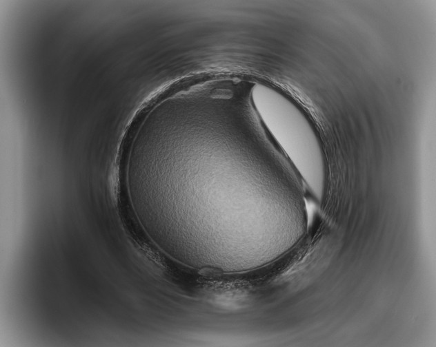 X0000095880488200801181208