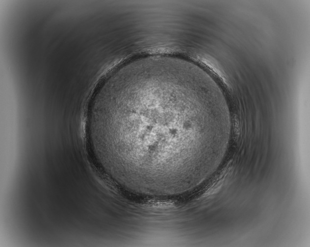 X0000095880491200801181208