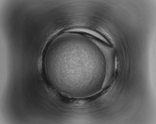 X0000095880492200801181208