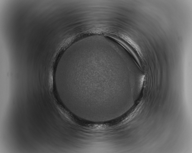 X0000095880493200801181208