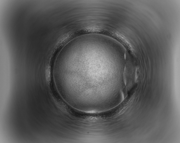 X0000095880494200801181208