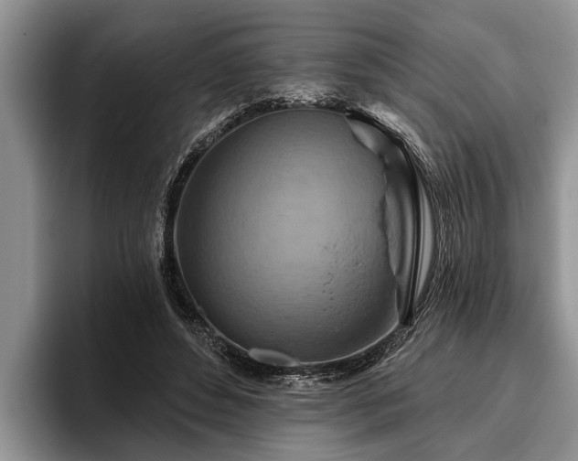 X0000095880496200801181208