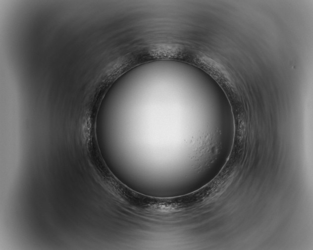 X0000095880498200801181208